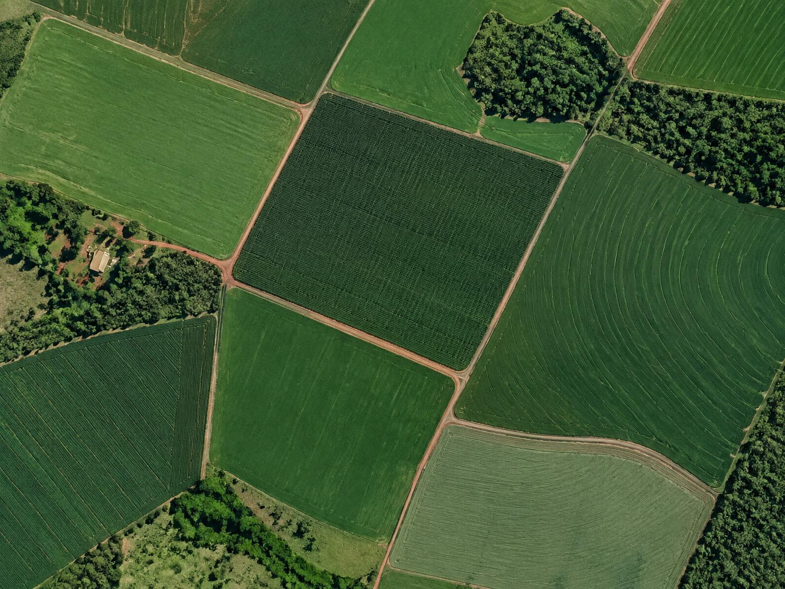 Mapa aéreo demonstrativo de talhões agrícolas